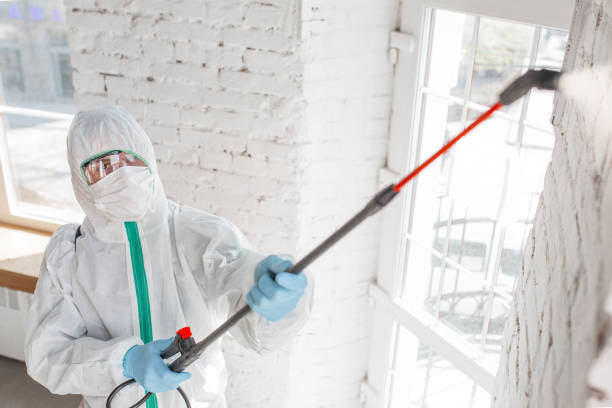 Reliable Clinton, SC Mold Removal Solutions