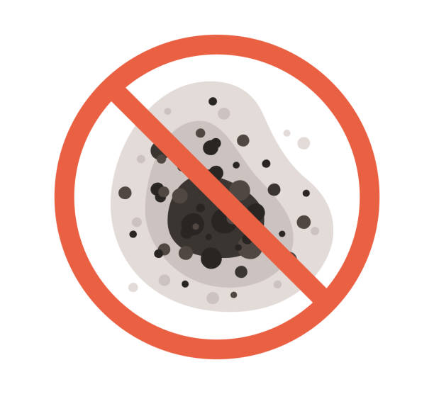 Best Mold Removal for HVAC Installations  in Clinton, SC